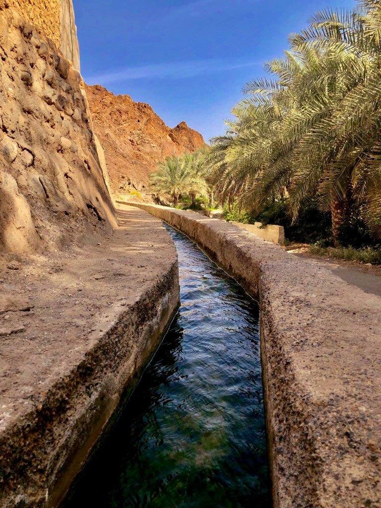 مجرى فلج الحمراء بين النخيل